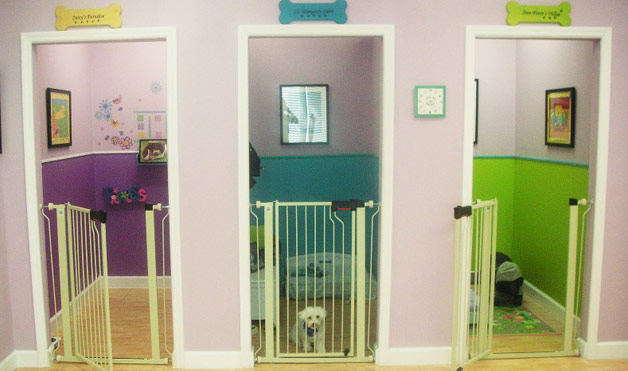 Pets Hotel perfect-living-space-for-pets13-pet-clinic-cat-hotel-dog-hotel